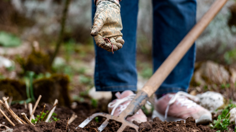 Woman digging soil and holding a handful of dirt