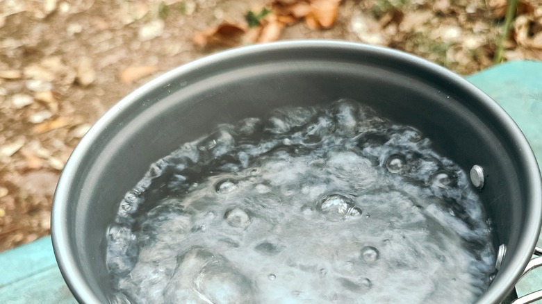 Boiling water in pot outdoors around fallen leaves