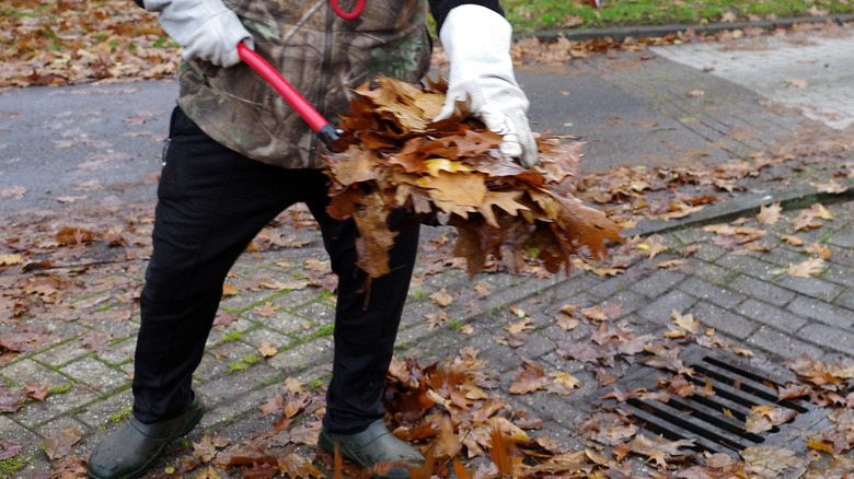 Man removing leaves from an outdoor drain