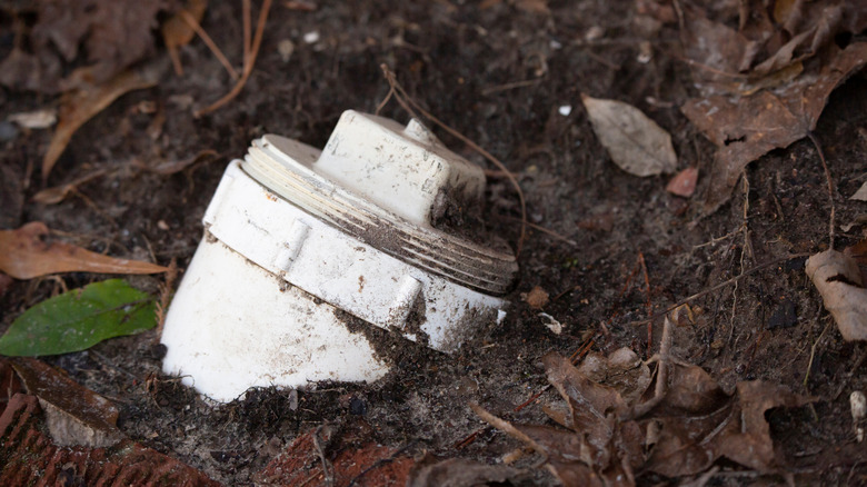 Sewer cleanout pipe with leaves near it