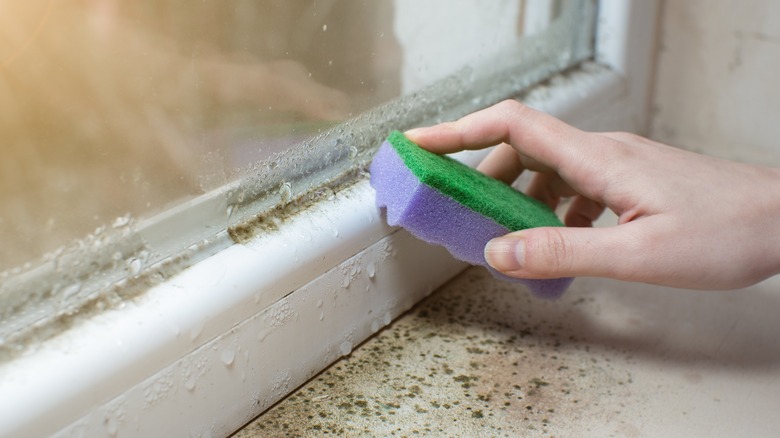 Cleaning mold from window