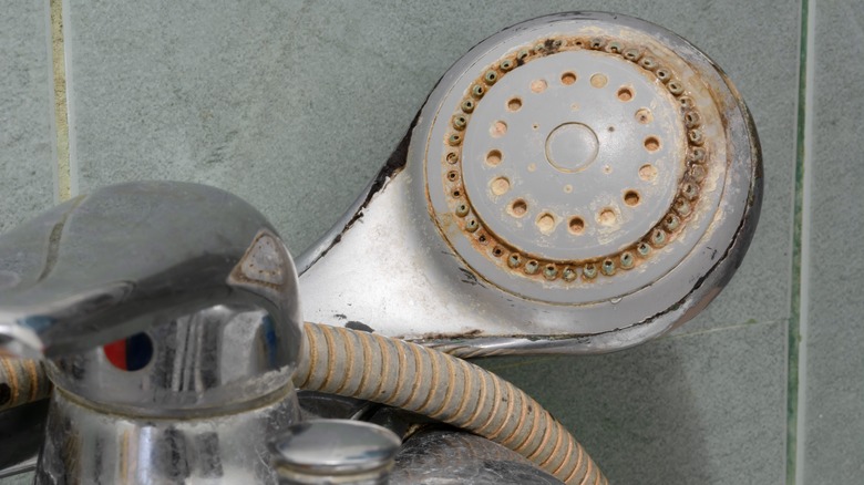 Rusty shower head with limescale 