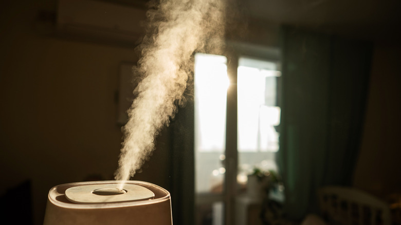 Humidifier produces mist