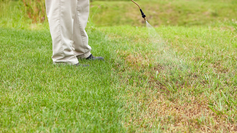 A person in tan pants spraying crabgrass on a lawn.