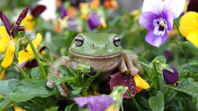 From smiling in flowers