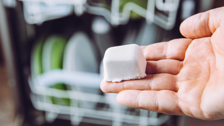 Person holding dishwasher pod