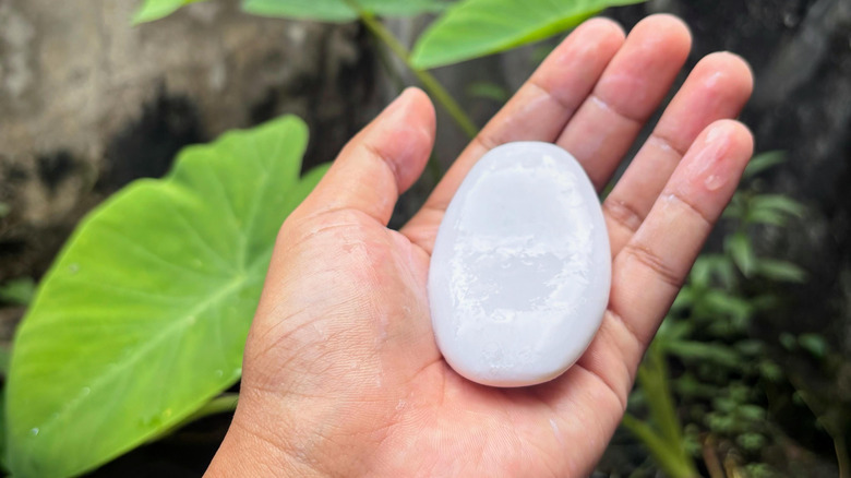 Hand holding bar of soap in garden