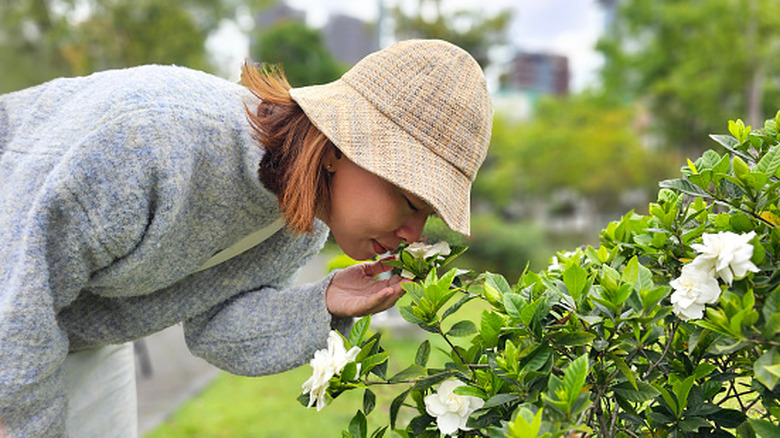 A woman smelling the flowers on a gardenia plant