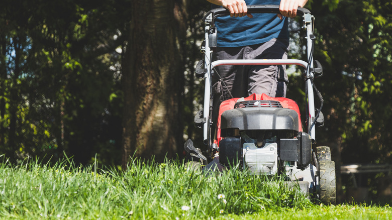 Person pushing lawn mower