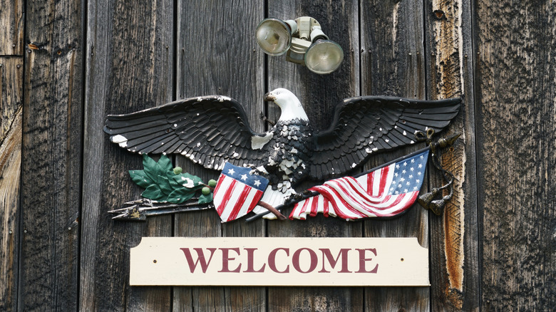 A majestic black eagle with the American flag and 