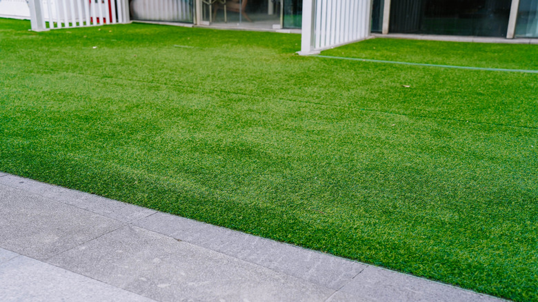 An artificial turf lawn