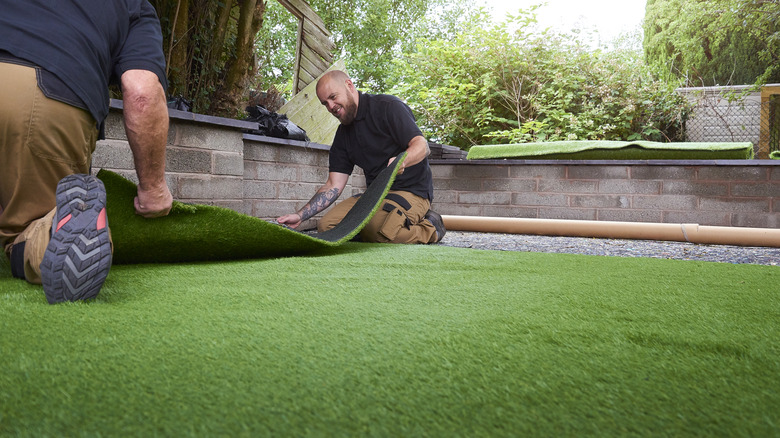 Two men installing turf in a backyard