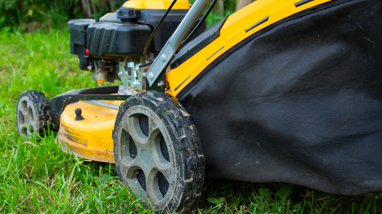 Yellow walk-behind lawn mower with large rear wheels