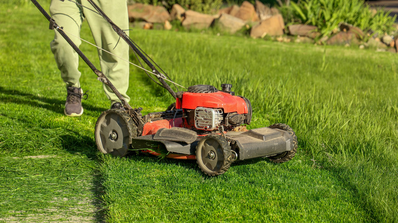 Person pushing a red lawn mower with large rear wheels