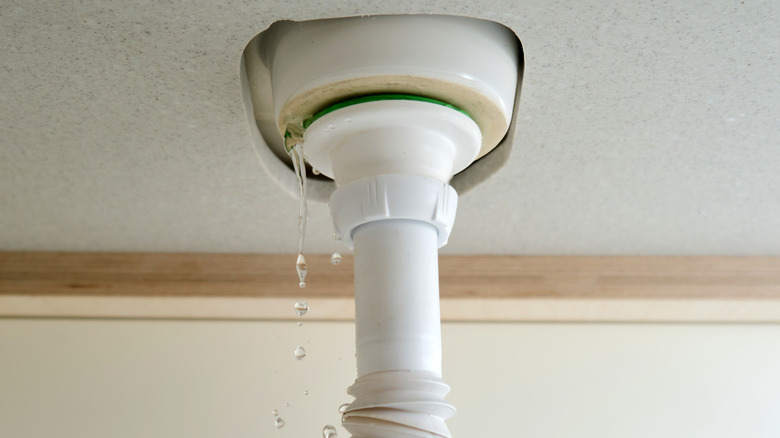 Water dripping from the drain beneath the sink