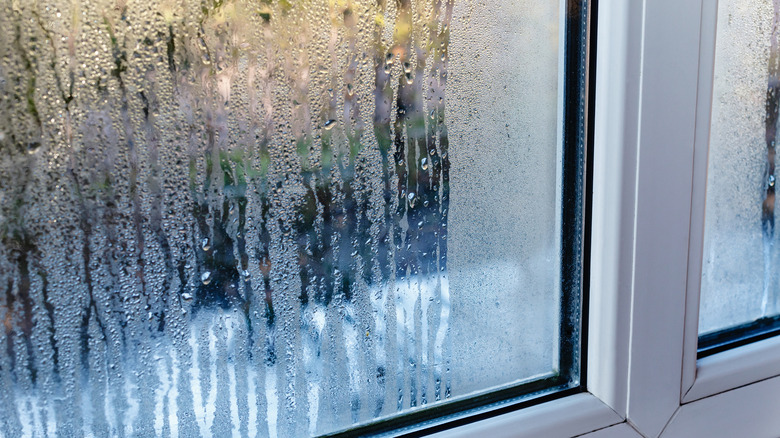 Window with rain and condensation on it