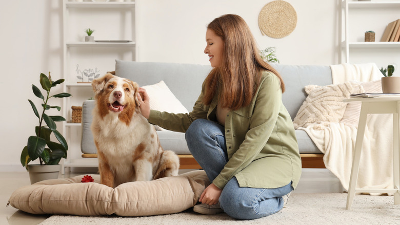 A woman petting her dog sitting on a dog bed in a living room