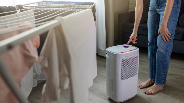 Dehumidifier near laundry in bedroom