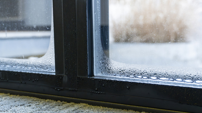 Condensation on windows