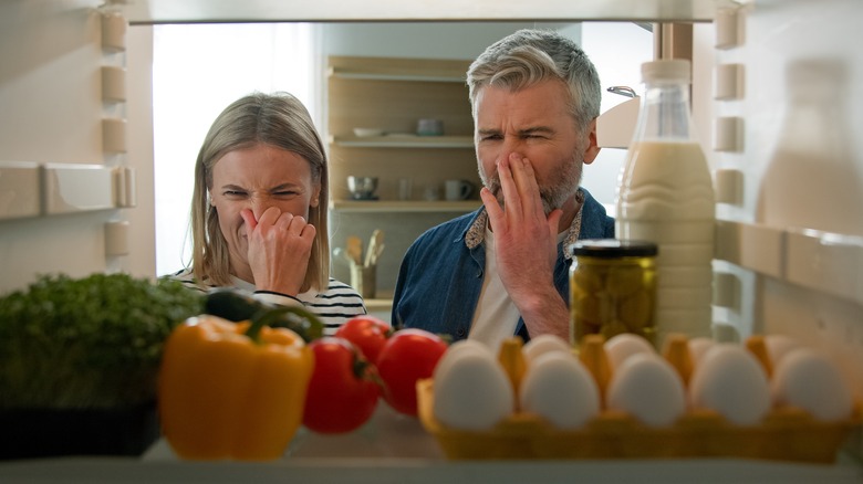 Couple holding their noses due to a rancid fridge