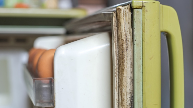 Dirty gasket of a green fridge