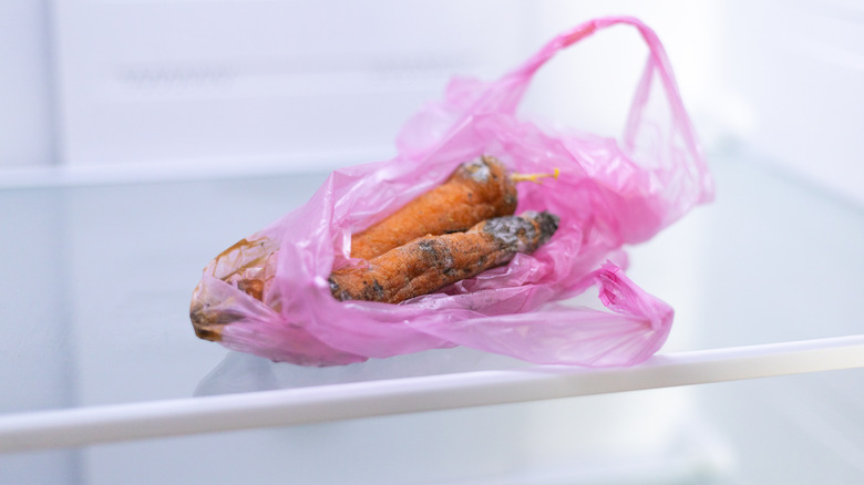 Mold on carrots inside a pink plastic bag on a fridge shelf