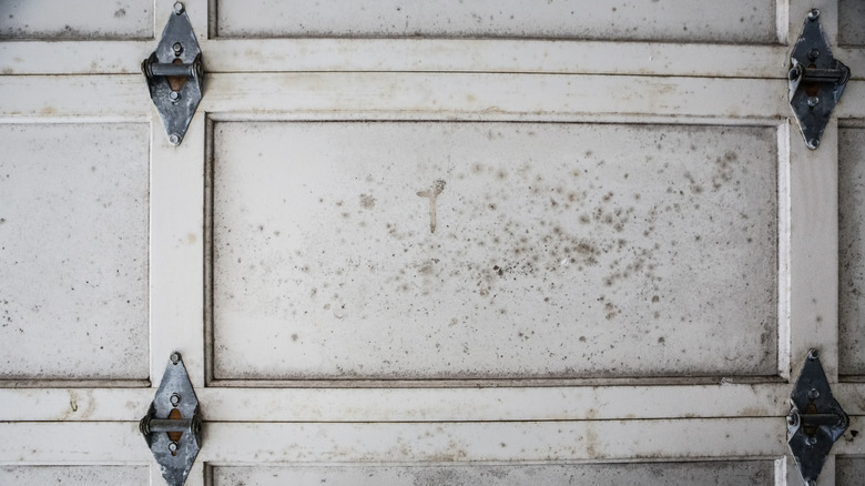 mold on garage door interior