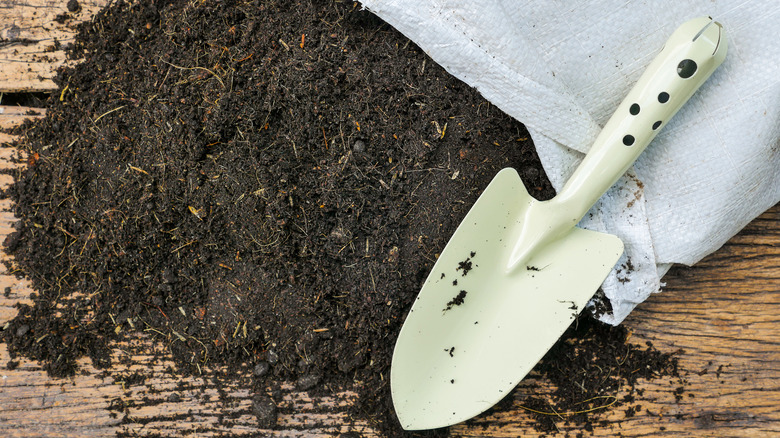 spilled bag of potting soil with trowel