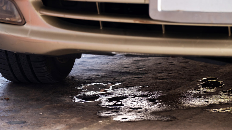 liquid pooling underneath car