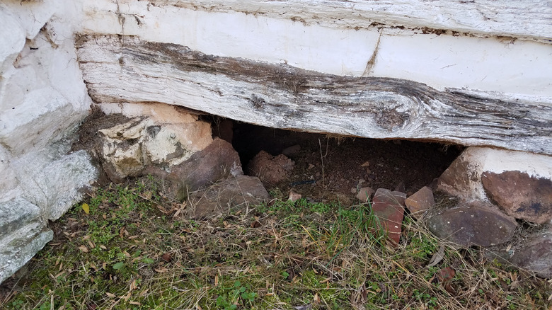 An open entrance to a crawl space under a home