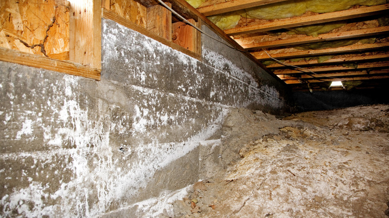 A crawl space under a home, with concrete blocks and wood framing