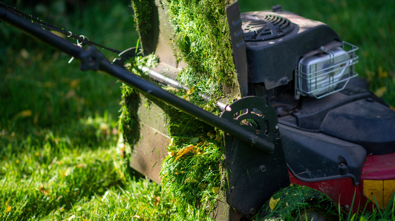 A lawn mower with a clogged up grass chute.