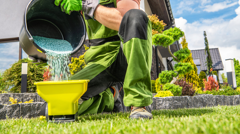 A person pours fertilizer into a spreader for treating a lawn.
