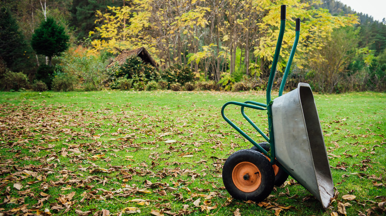 A wheel barrow upturned on a lawn covered in fall leaves with trees and a small shed in the background.
