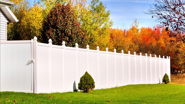 Photo of a new white vinyl fence in yard with trees of different fall foliage in the background