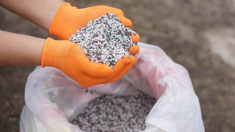 Person wearing gloves and holding a handful of synthetic fertilizer