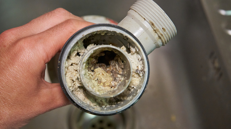 Pipe clogged with organic matter