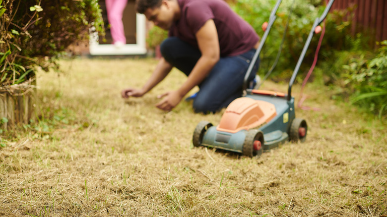 A person kneels on a dry, brown lawn next to an electric lawn mower, inspecting the lawn closely