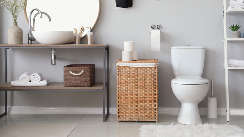 Neutral bathroom vanity and toilet