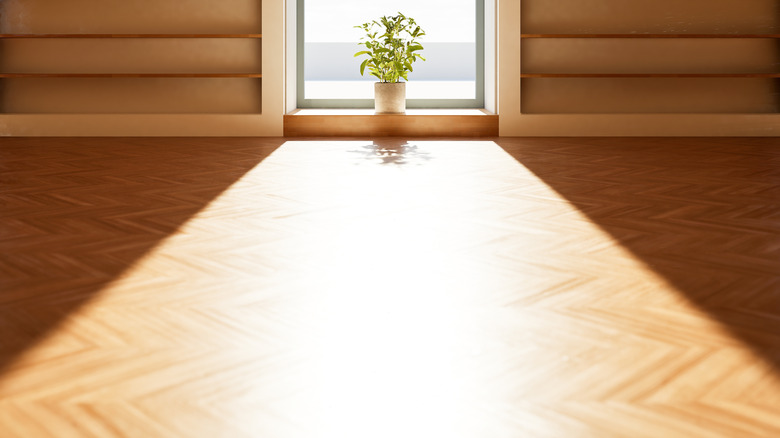 sun glares on wood floor