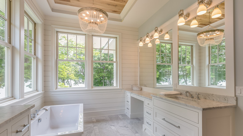 bathroom windows