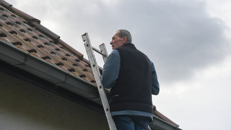 Man on a ladder inspecting the roof of a house