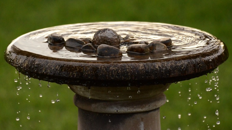 Rocks inside full birdbath