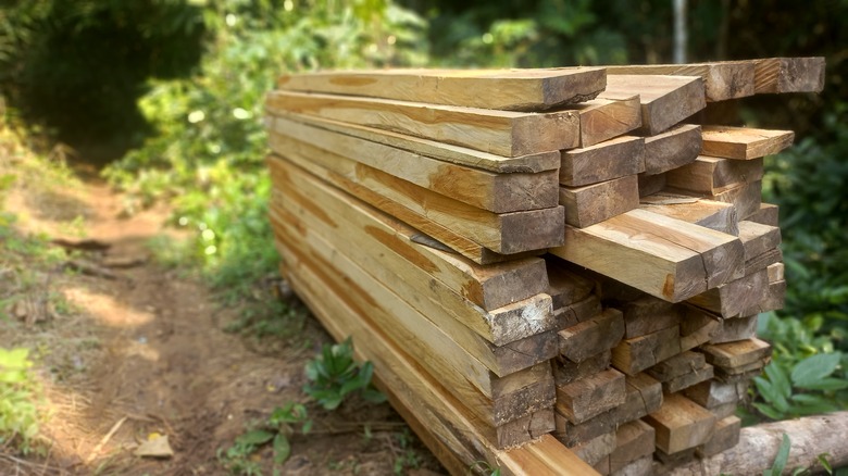 teak wood planks stacked in forest next to beaten path
