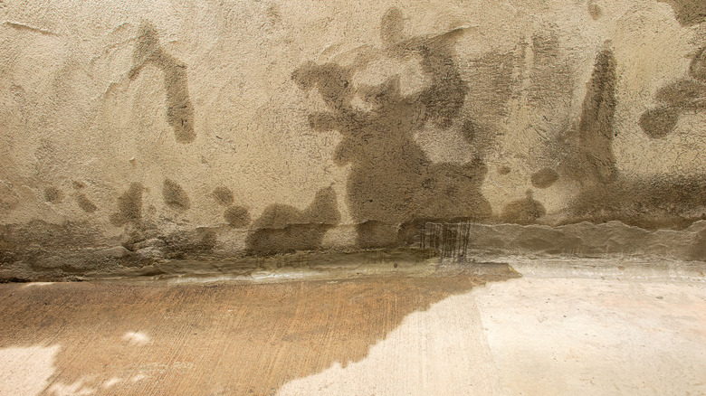 Moisture spots on a cement wall