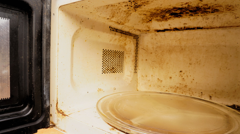 The interior of the microwave oven in a state of decay, with rust.