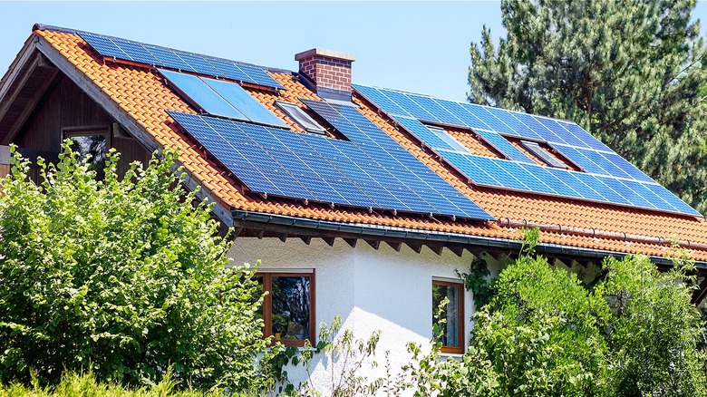 House with solar panels on roof surrounded by shrubs and a tree in the background