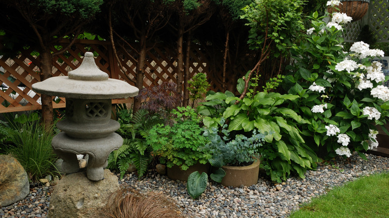 shade garden hydrangeas ferns