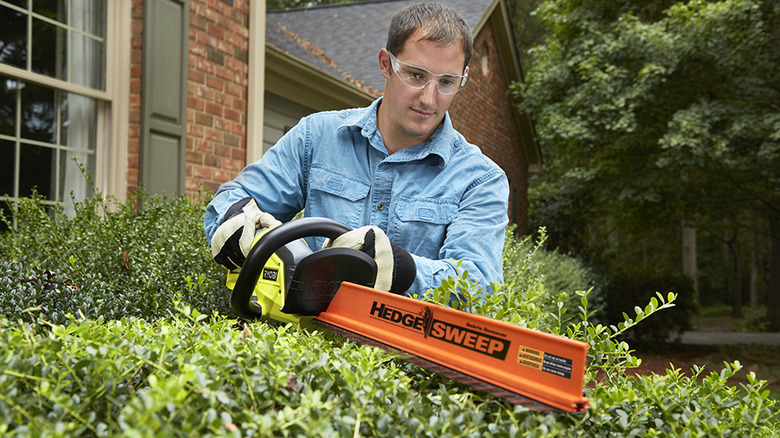 A man using a Ryobi hedge trimmer on a shrub.