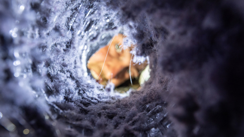 A man inspecting a vent heavily clogged with lint